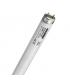 Aquastar T8 F36W 174 10000K G13 rastlinska  8698-11031