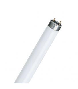 Sylvania luxline plus g13 t8 fluorescent tube 5200lm on sale 58w 1500mm