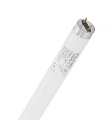 Luxline Plus Leuchtstofflampe T8 F70W 840 G13 1764mm 8938-11750