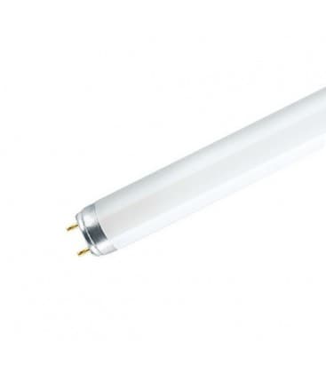 10W G13 Lamp BL TL-D 10 UV-A Premium Actinic 9518-13476