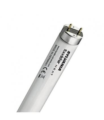 FoodStar Meat T8 F36W 176 1 G13 970mm Tubes fluorescents 9875-14418