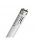 FoodStar Meat T8 F36W 176 1 G13 970mm 9875-14418