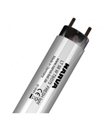 Tubo fluorescente Fresh Light T8 LT 58W 075 G13 Iluminación vibrante para alimentos 10094-15234