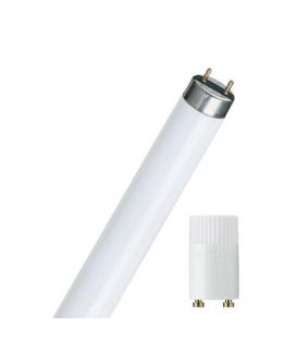 Master TL-D 37 58W 840 G13 Power Saver Set