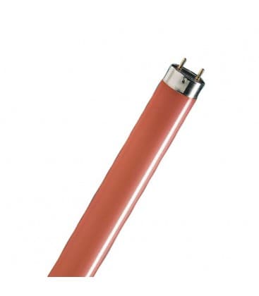 TL-D Bombilla de color rojo G13 18 W 10273-15877