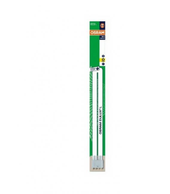 Compact Fluorescent Lamp Dulux L 36W 830 - Efficient – photo