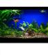 Aquastar T8 F36W 174 10000K G13 Pflanzenlampe 8698-18468