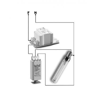 PLANTASTAR KIT 250W: Kit professionale per la coltivazione delle piante 10104-19242