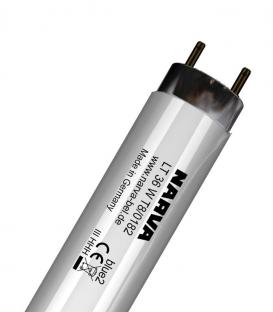 T8 LT 36W 0182 G13 colour Blau