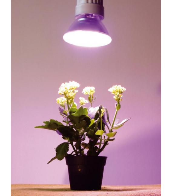 Lampe Réflecteur pour Plantes 15W 827 E27 Luminaire de Culture – Photo