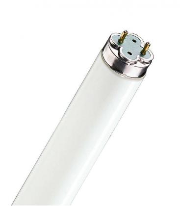 Leuchtstofflampe 18W 865 G13 xtra Beleuchtungslösung 10899-22195