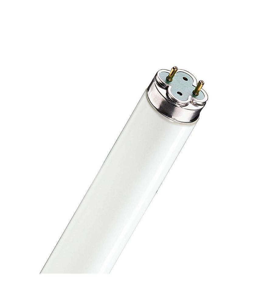 Master TL D 58W 840 G13 Xtra Master TL D 58W 840 G13 Xtra