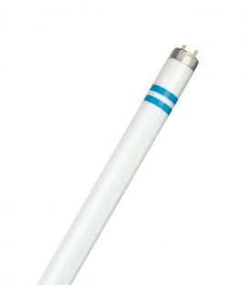 Master TL-D 36W 840 G13 Secura