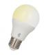 LED Bluetooth A60 Tunable white E27 10996-22715
