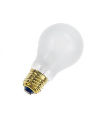 24V Lampadina classica smerigliata E27 A60 60W Singola 11046-22898