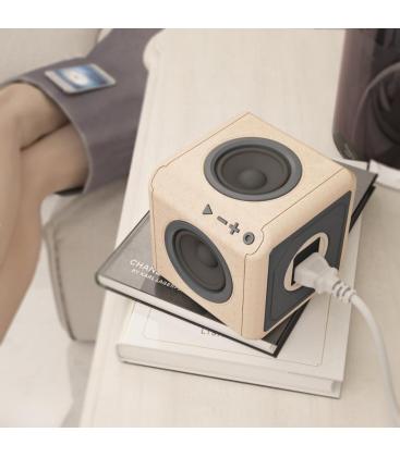 AudioCube Portable Wood Edition Rallonge PowerCube 11084-22987