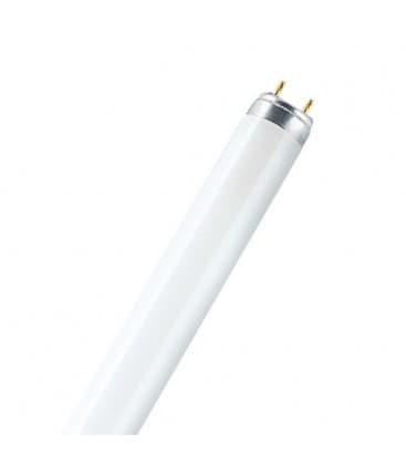 Leuchtstofflampe 58W 827 G13 Beleuchtungslösung 1113-2499