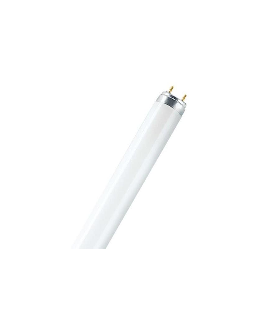 15w fluorescent deals tube