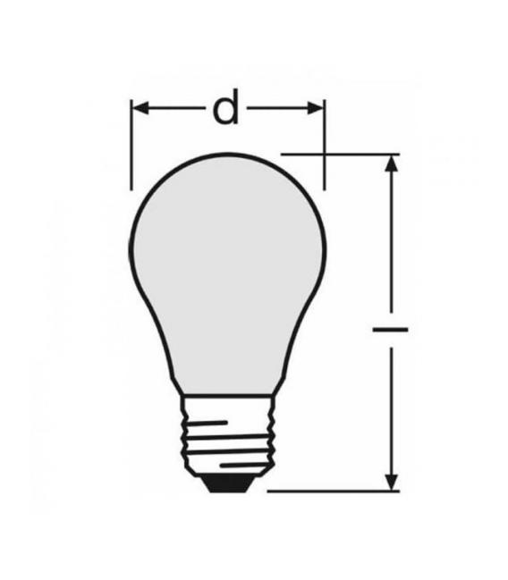 24V Classic Clear E27 Bulb 60W – photo