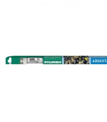 Aquastar T8 F18W 10000K G13 Bulb 12003-26774
