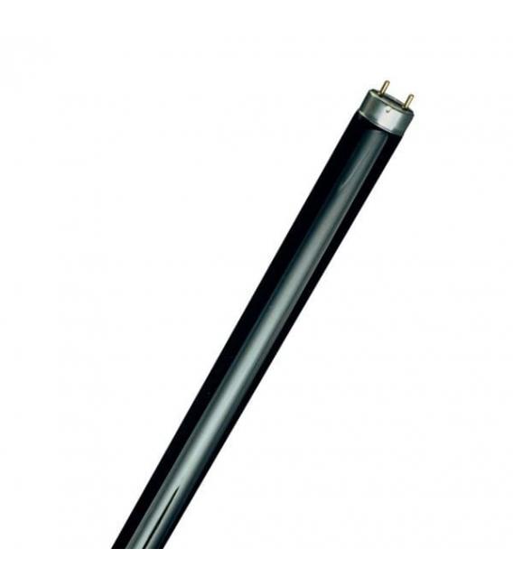Osra, L 36 W/840, Lapada fluorescente da 36 Watt