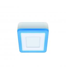 LED ALDEN D 3W+3W NW dual light fields