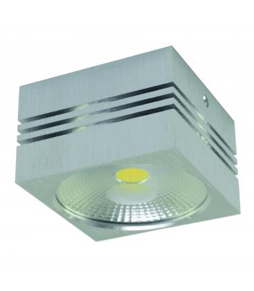 Plafonnier LED GUSTI 10W NW 12316-32293