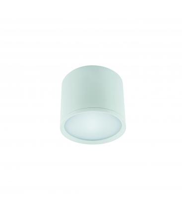 ROLEN 3W NW apparecchio LED da soffitto bianco 12317-32294