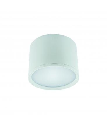 ROLEN 7W Blanco NW Luminaria LED de techo 12318-32295