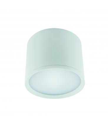 Stropna LED svetilka ROLEN 10W NW Beli sijaj 12319-32296