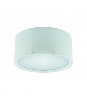 Apparecchio LED da soffitto ROLEN 15W NW Bagliore bianco 12320-32297