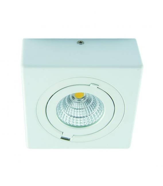 Stropno COB LED svetilo 6W bela NW – fotografija