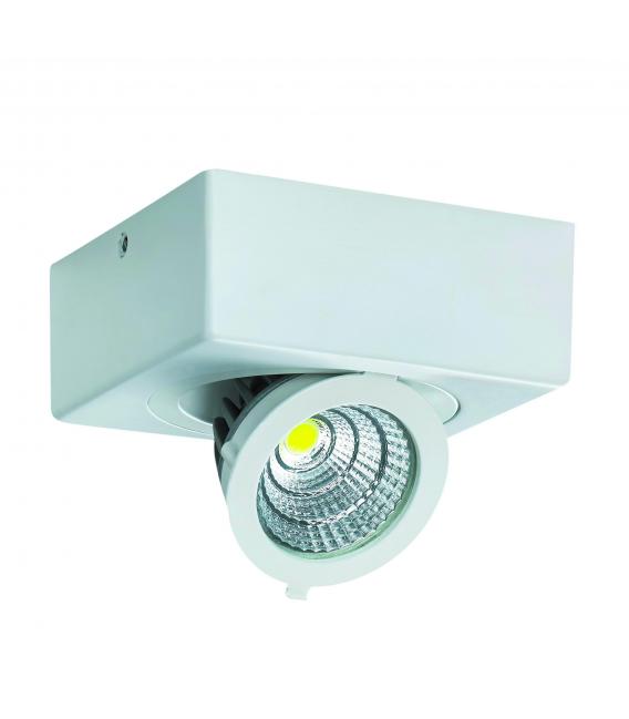 Ceiling COB LED Luminaire 9W White NW – photo