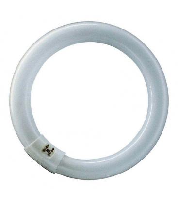 FC22 22W T9 BL368 G10q Ring Tube Premium UV Lamp Bulb 13161-37583