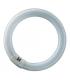 Bulb FC22 22W T9 BL368 G10q Ring Tube 13161-37583