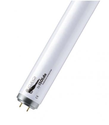 ISOLde CLEO F24 T12 R 40w G13 UV Lamp 600mm 13181-37603