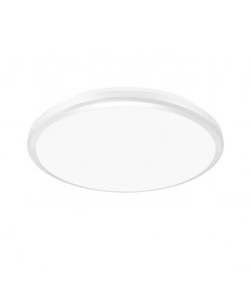 Ceiling LED Luminaire PLANAR 24W NW White Outdoor Facade 13706-38381