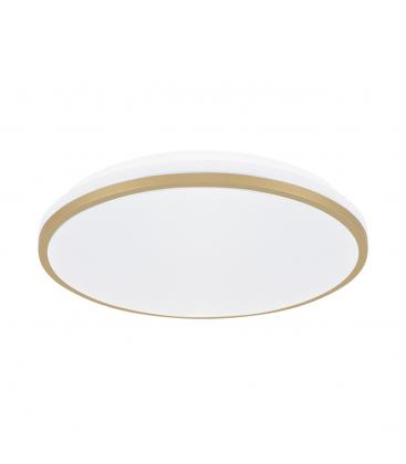 Ceiling LED Luminaire LINUS C 18W NW 13729-38404