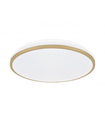 Ceiling LED Luminaire LINUS C 12W NW 13730-38405