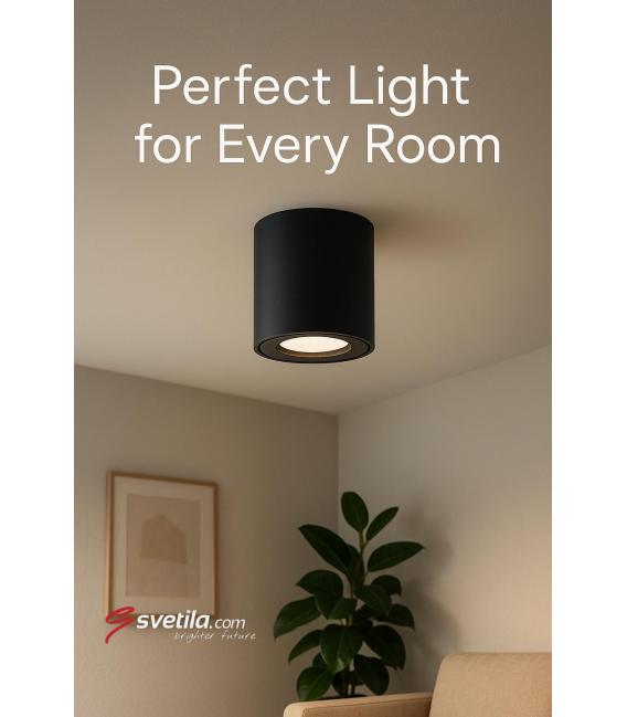 ZORBA DWL GU10 nero Apparecchio a soffitto – Foto