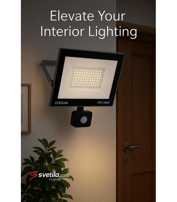 LED spotlight with motion sensor 100W Grey CW – photo