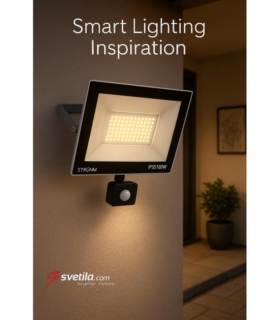 LED spotlight with motion sensor 100W Grey CW – photo