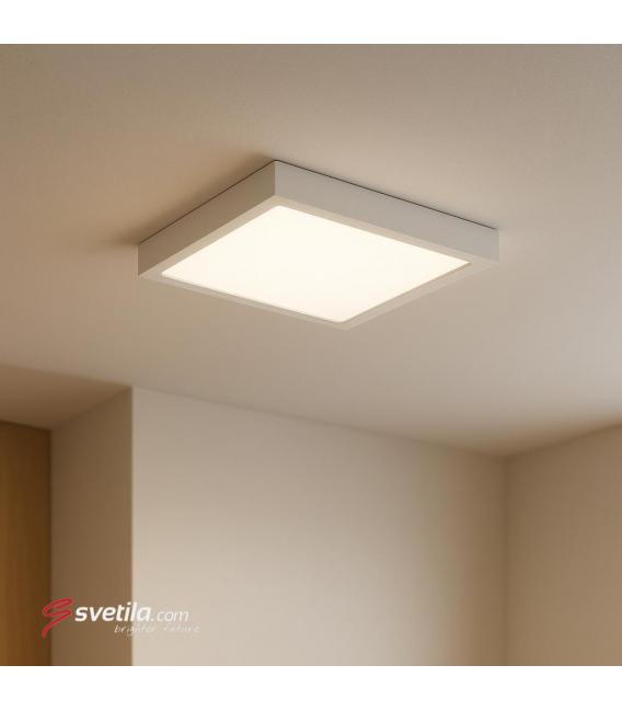 Stropna LED svetilka MARTIN D 6W NW - Bela – fotografija