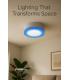 ALDEN C 3W+3W NW zwei Lichtfelder 12202-38861