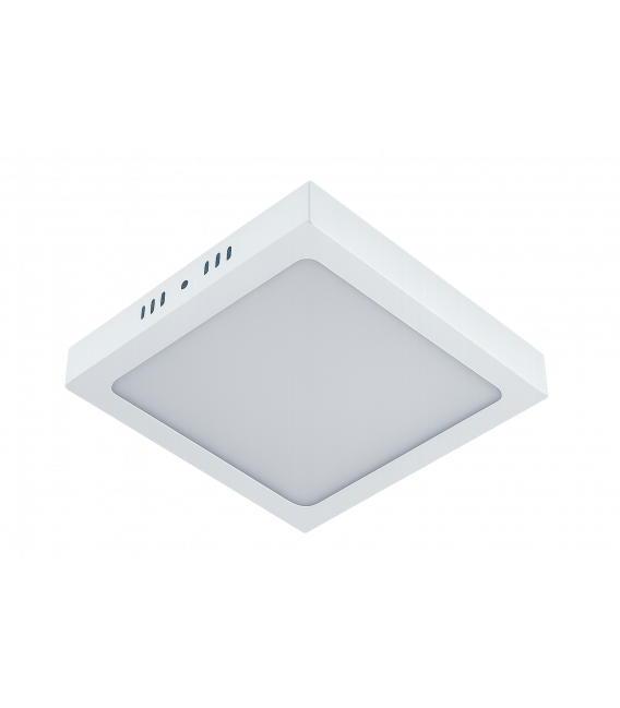 Ceiling LED Luminaire MARTIN D 24W NW - White – photo