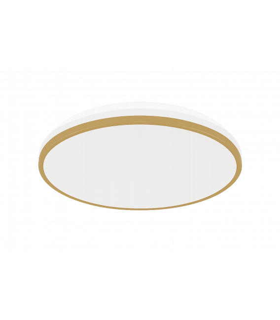 Ceiling LED Luminaire LINUS C 24W NW – photo