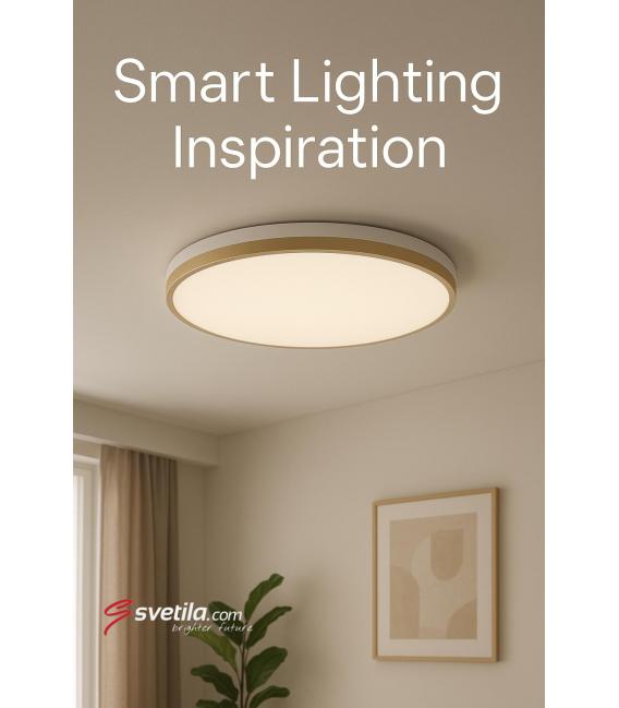 Ceiling LED Luminaire LINUS C 24W NW – photo