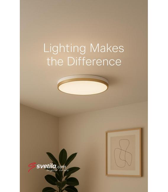 Ceiling LED Luminaire LINUS C 12W NW – photo