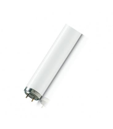 Flexodruck TL 60W 10 R G13 Premium UV-A Lampe 8233-9581