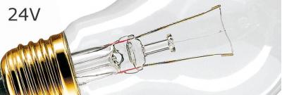24V Classic Light Bulbs for Security Areas | Reliable Illumination